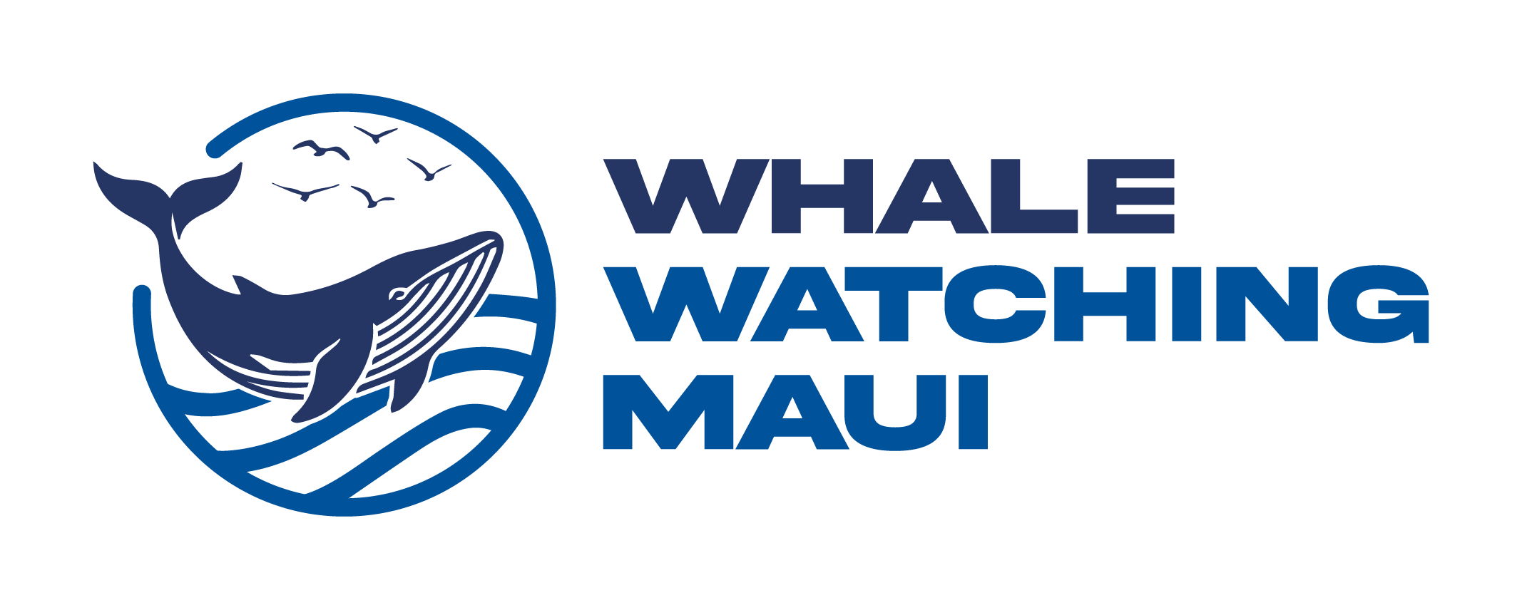 Whale Watching Maui